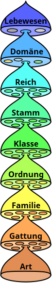 Biological classification de