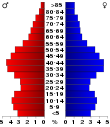 New Hampshire age pyramid