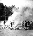 Prisoners' bodies are burned after they are killed in the gas chambers at Auschwitz concentration camp