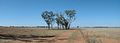 The site of Ben Hall's death at Billabong Creek