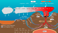 This diagram shows the chemical movement at a deep sea vent on the ocean floor.