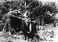 Einsatzgruppen execution squad in Lithuania