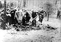 Einsatzgruppen force Poles, Jews, Czechs, and Germans to dig their own graves in Piaśnica, Poland