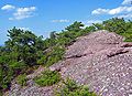 A conglomerate: sedimentary rock made from white pieces of older rock, broken up and mixed with red sand at the bottom of a river.