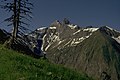 The Trettachspitze from the Hierenalpe