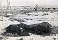 Destroyed Lakota Indian reservation after the Wounded Knee Massacre (1890)