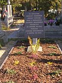 Grave for en kaptajn i den kongelige ungarske hær og 6 af hans mænd, der faldt i kampen på den polske side