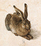 Gemälde eines jungen Kaninchens, von Albrecht Dürer, 1502