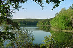 El río Ouachita atraviesa el Bosque Nacional Ouachita.  
