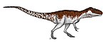 Afrovenator .