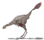 Caudipteryx  