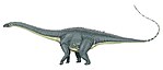 Diplodocus .