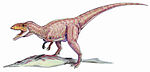 Eustreptospondylus .
