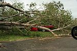 Tropischer Wirbelsturm Yasi: ein von einem Baum zerquetschtes Auto in Townsville, Queensland