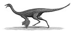 Gallimimus  