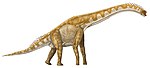Giraffatitan .