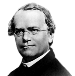Gregor Mendel, otec modernej genetiky.