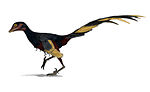 Jinfengopteryx  