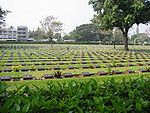 Un cementerio de la Segunda Guerra Mundial en Kanchanaburi  