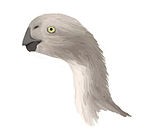 Khaan  