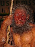 Ta rekonstrukcija je v Muzeju neandertalcev