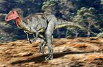 Neovenator .