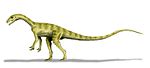Pantydraco .
