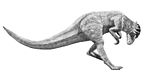 Prenocephale  
