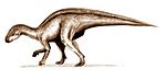 Rhabdodon .