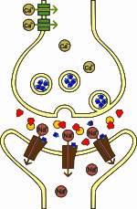 Sarin (kırmızı), asetilkolinesteraz (sarı), asetilkolin (mavi)