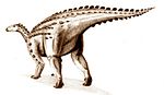 Scelidozauras .