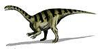 Plateozauras .