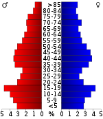 Pirámide de población  