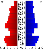 Väestöpyramidi  
