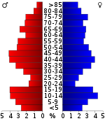 Pirámide de población