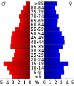 Pirámide de población  