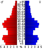 Pirámide de población  