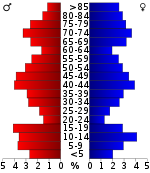 Pirámide de población  