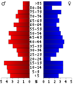 Pirámide de población  