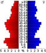 Väestöpyramidi  