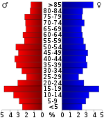Väestöpyramidi  