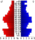 Pirámide de población  