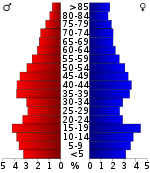 Väestöpyramidi  