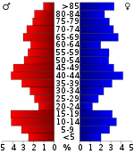 Pirámide de población  