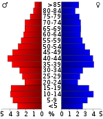 Pirámide de población  