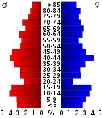 Bevolkingspiramide  