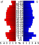 Väestöpyramidi