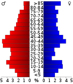 Pirámide de población