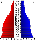 Pirámide de población  