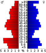 Bevolkingspiramide  